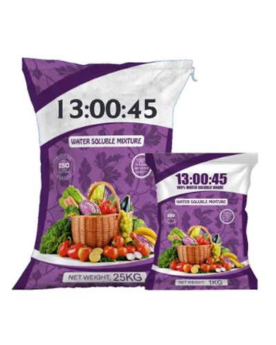 13:00:45 (NPK )