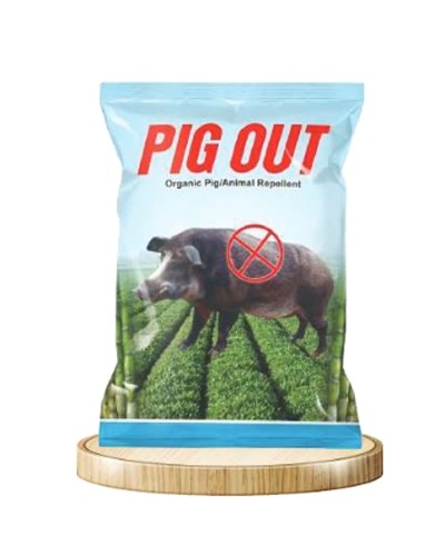PIG OUT