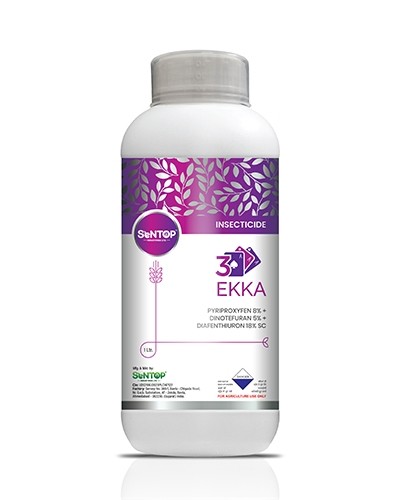 3 EKKA