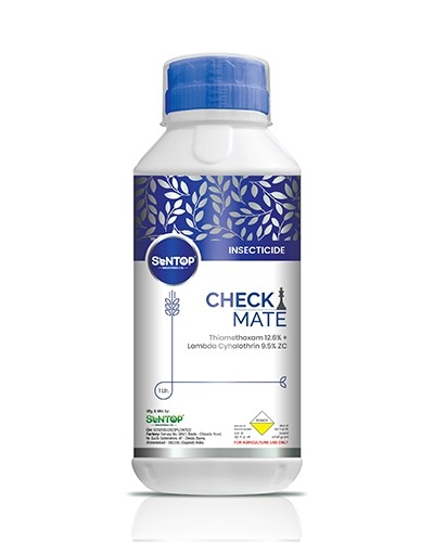 CHECK - MATE