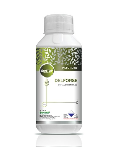 DELFORSE