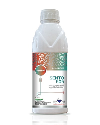 SENTO 505