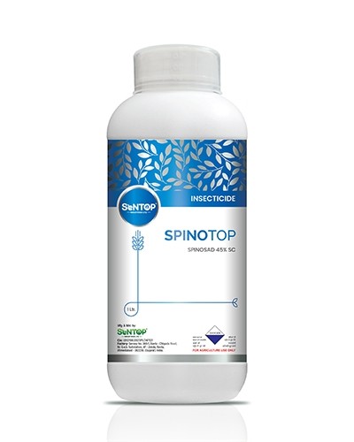 SPINOTOP
