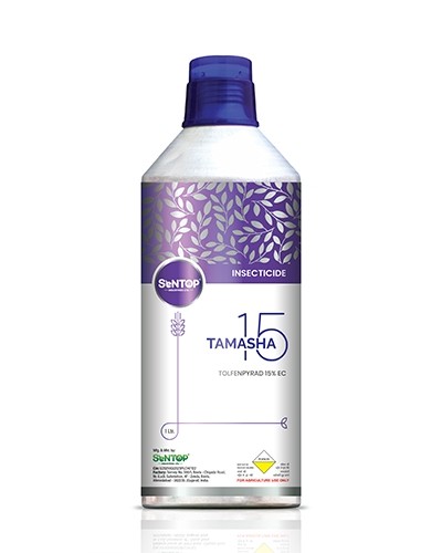 TAMASHA 15
