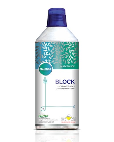 BLOCK