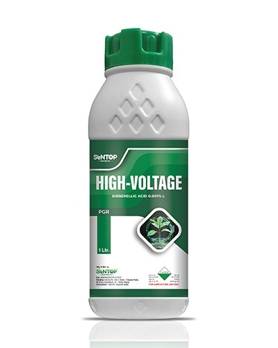 HIGH - VOLTAGE