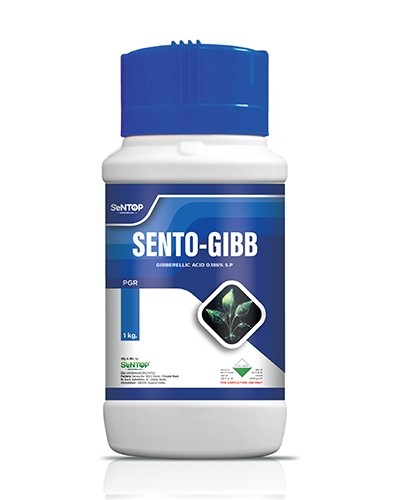 SENTOGIBB