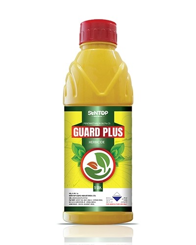 GUARD PLUS