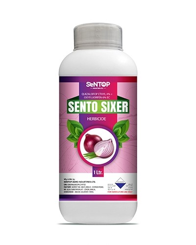 SENTO SIXER