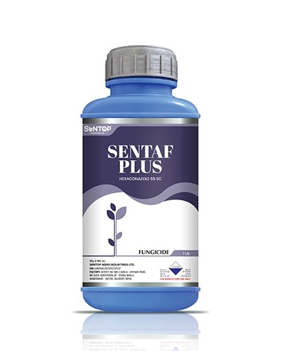 SENTAF PLUS