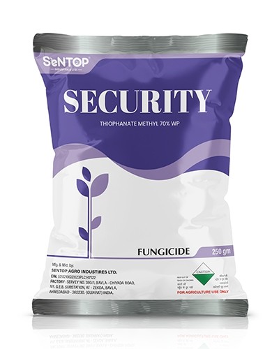 SECURITY