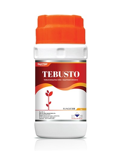 TEBUSTO