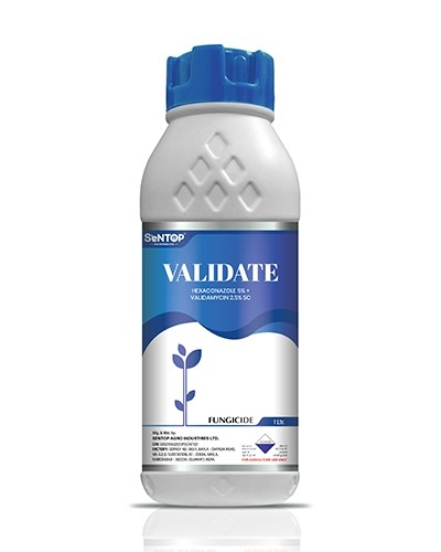 VALIDATE