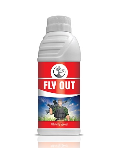 FLY OUT