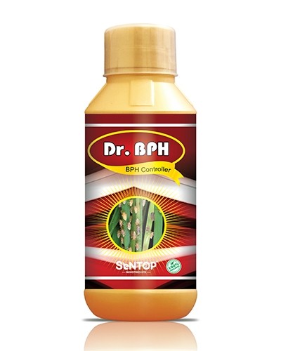 DR. BPH