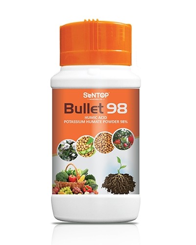 BULLET 98