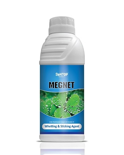 MEGNET