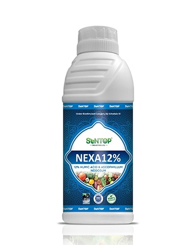 NEXA-12%