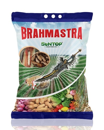 BRAHMASTRA